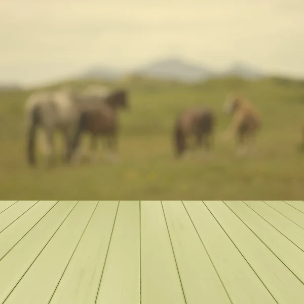 Empty wooden green,deck table with horses in the meadows and mountains in blurred background. UK. Ready for product display montage.