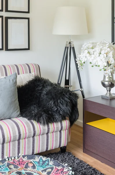 Black fur on colorful sofa with lamp in living room