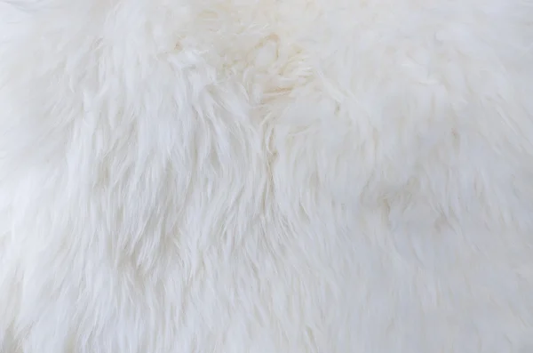 Fur texture as background