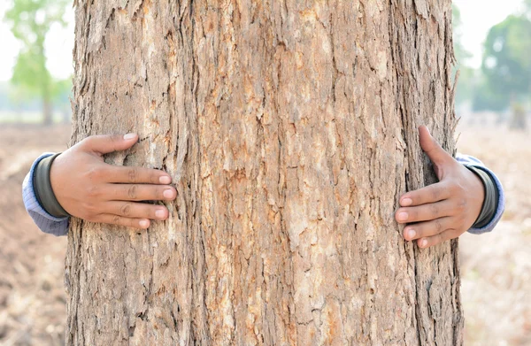 We love the world of ideas, Man hugging a tree