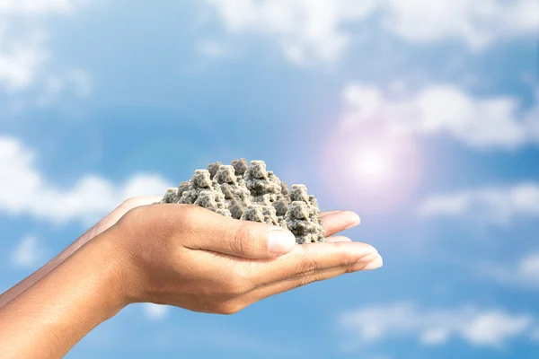 Lumps of earth in human hands Sky background