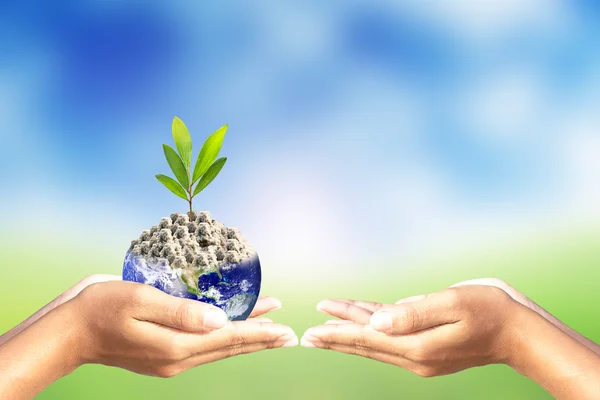 We love the world of ideas,Hand give world and tree on nature background.Elements of this image furnished by NASA.
