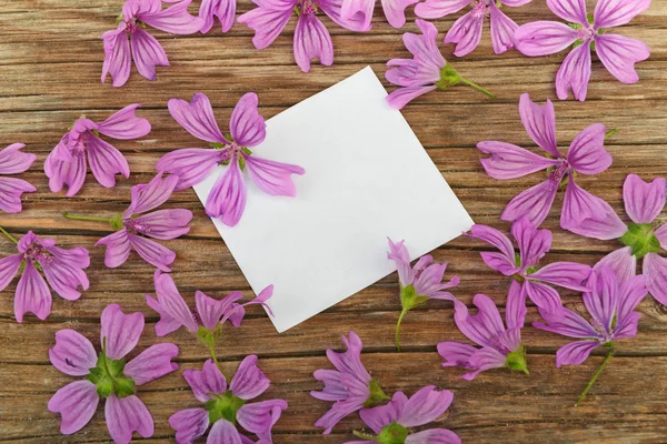 Flowers and a white blank sheet of paper