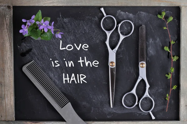 Hove is in the Hair quotation. Hair Cutting and Thinning Scissors on vintage background. Hairdresser salon concept. Haircut accessories, flat lay