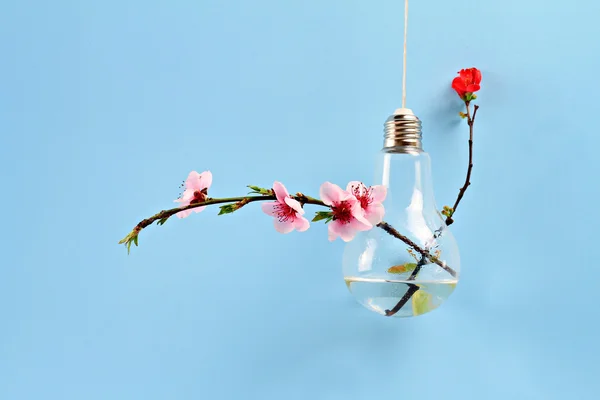 Springtime background. Gentle spring wedding flower decoration idea. Modern bulb vase with sakura flowers