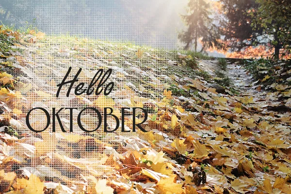 Inspirational Typographic Quote - Hello Oktober. Season wallpaper, postcard background