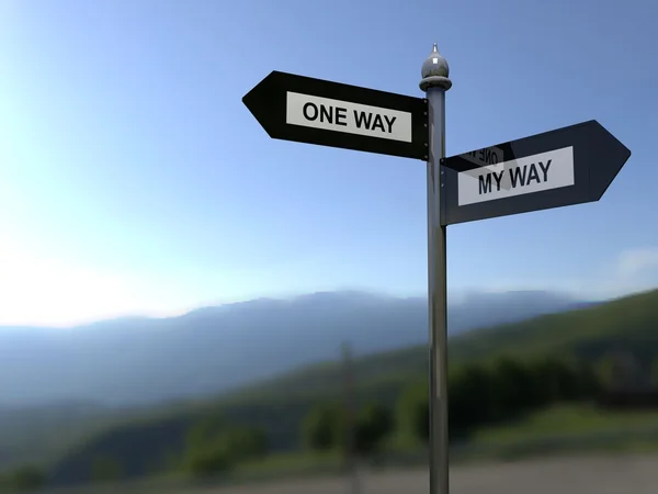 Signpost with one way or my way direction choices
