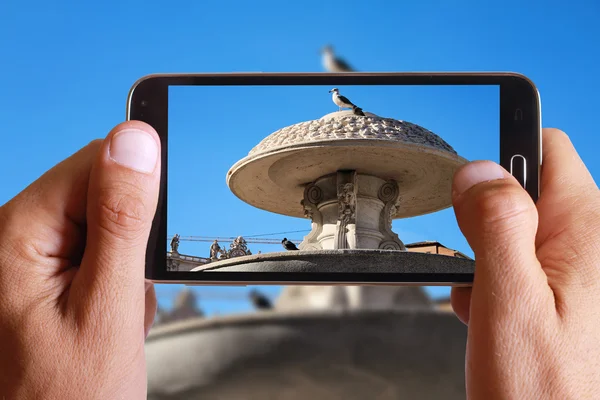 Male hand taking photo of fountain in Vatican with cell, mobile phone. Europe travell, Italian holiday.