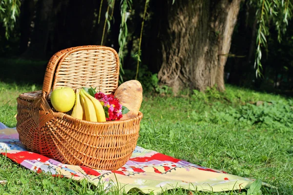 Picnic basket and blanket on green grass in park, nature.