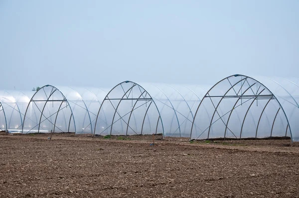 Group of new greenhouses that serve to make the vegetables grow