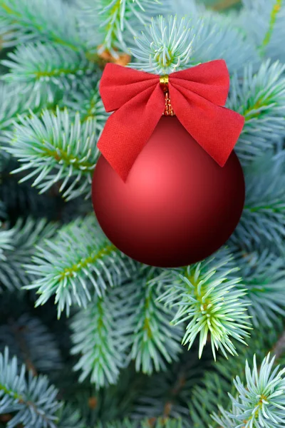 Red Christmas bauble on a fir tree