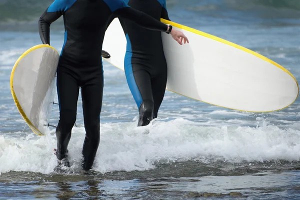 Two surfers newbies walking with their surfboards