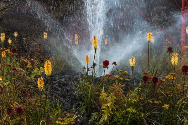Sprinkler in the garden watering flowers