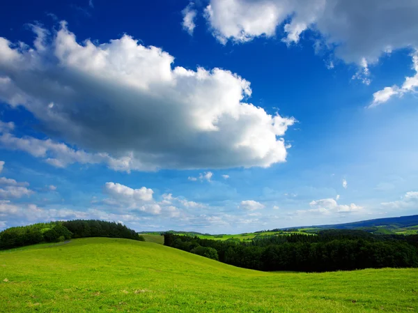 Summer landscape with field and clouds.