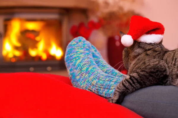 Christmas cat by the fireplace.