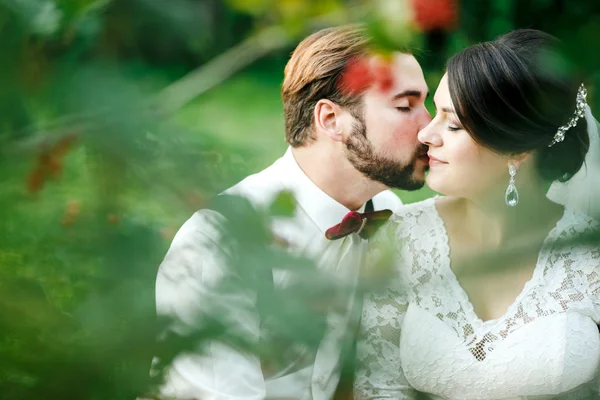 Beautiful couple kissing among spring foliage. Close up portrait of bride and groom at wedding day outdoor, lit by setting sunlight.