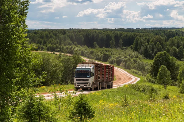 The car with the forest.