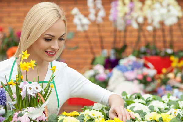Attractive female gardener is arranging spring flowers