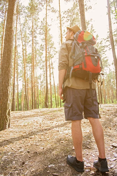 Relaxed male adventurer hiking in nature