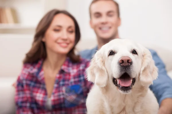 Cute boyfriend and girlfriend with pretty puppy