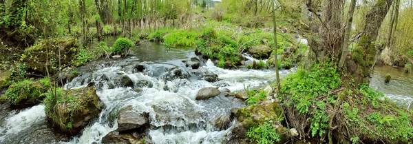 Panoramic image of a waterfall on the river