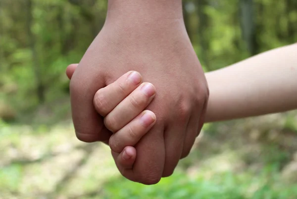 Brothers. The elder brother is holding a little boy by the hand