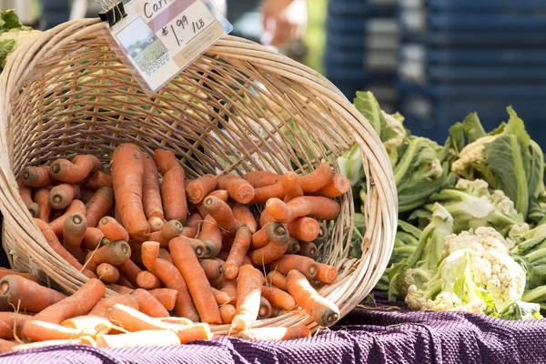 Fresh organic vegetables - Pile of carrots in a basket at a farm