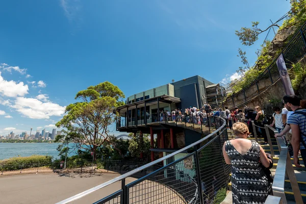 Queue to the Taronga Zoo entrance