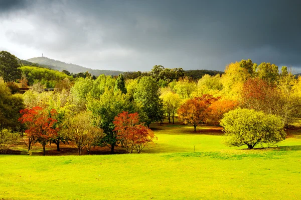 Autumn scene with sun and rain