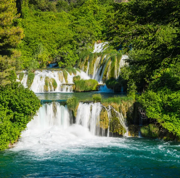 Cascade waterfalls surrounded by dense forest. Sunny day.