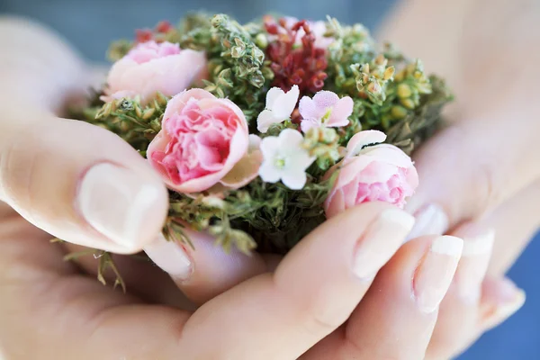 Small flowers in female hands