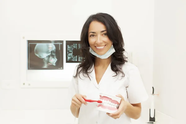 Dentist teaching to brush teeth