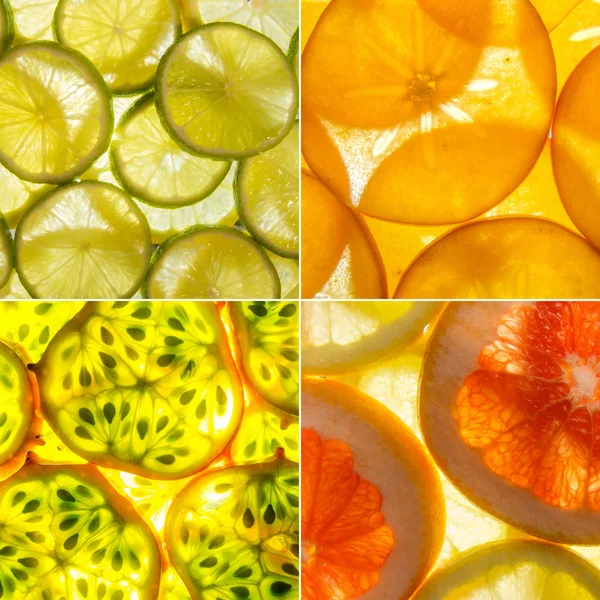 Assorted square collage of 4 back lit fruit slices