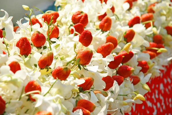 White orchid flowers arranged with fresh strawberry for decoration concept
