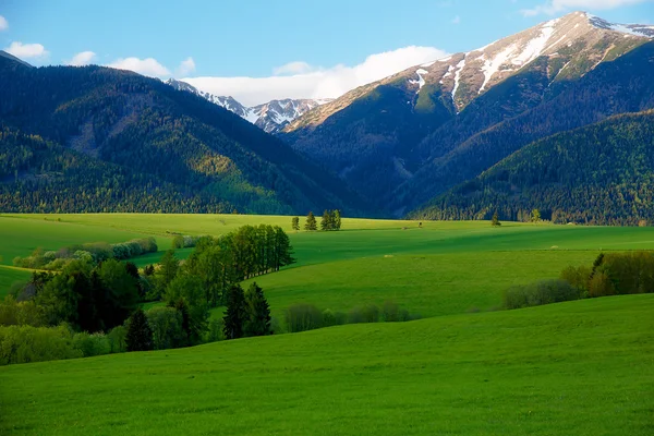 Beautiful landscape, green meadow with snow mountain in background. Slovakia, Central Europe.