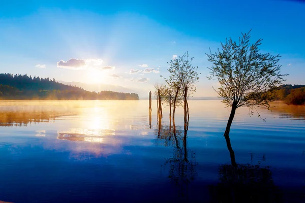 Beautiful lake view in morning fog with mystic mountains and trees as leftovers of a mole in gold, purple - blue tones.