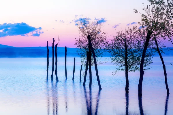 Beautiful landscape with a lake and mountains in the background and trees in the water. Blue and purple color tone. Slovakia, Central Europe, region Liptov.