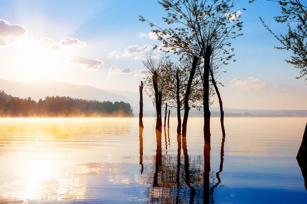 Beautiful lake view in morning fog with mystic mountains and trees as leftovers of a mole in gold, purple - blue tones.