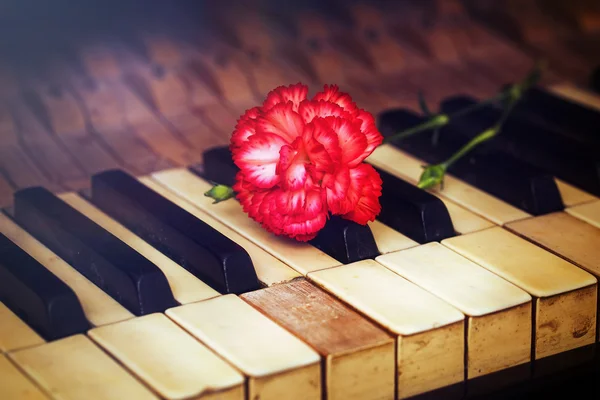 Old vintage gand piano keys with a red carnation flower, vintage picture. music concept