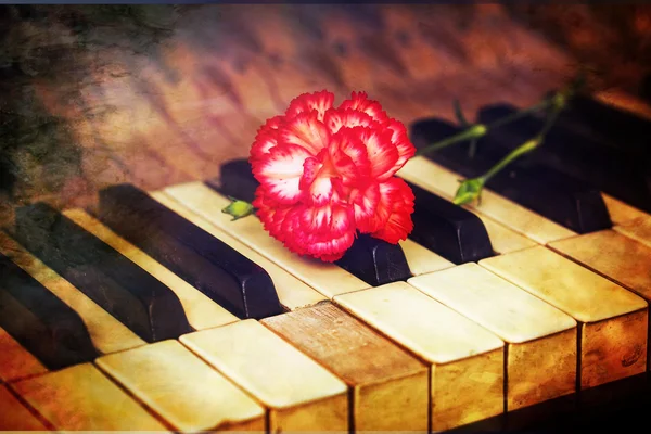 Flower on piano keys, vintage picture.