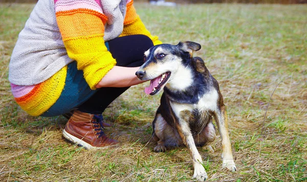 Woman with dog in spring meadows. Smiling Dog