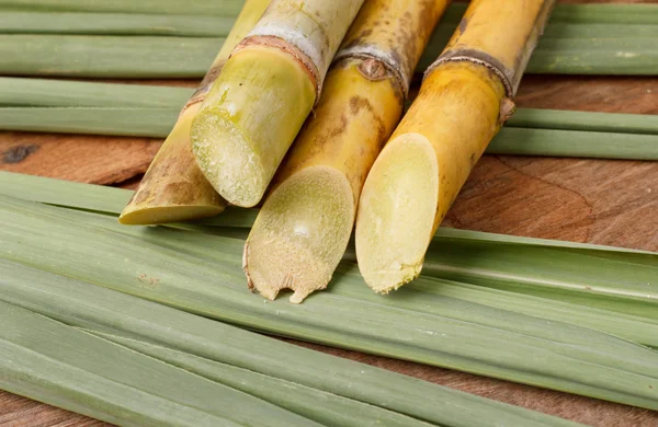 Sugar cane on wood background.