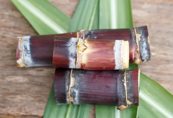 Close up Sugar cane on wood background.
