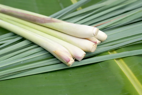 Lemon grass.