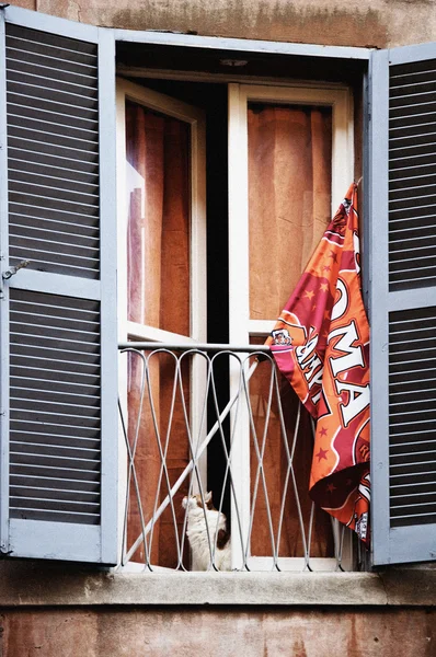 Rome in the Alleys: Cat With Flag