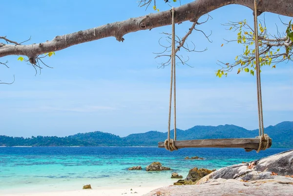 Hanging swing on tree in front of white sand beach