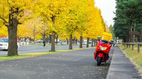 Motorbike on road in autumn park