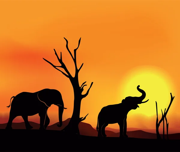 African landscape sunset with elephants