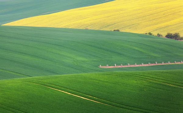 Minimalistic landscape with green fields, rolling hills at sunri