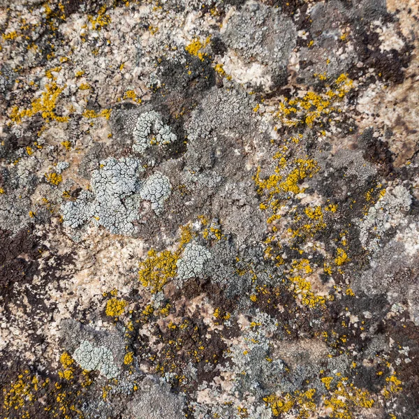 Natural granite stone texture background. Rough and rusty. Close-up